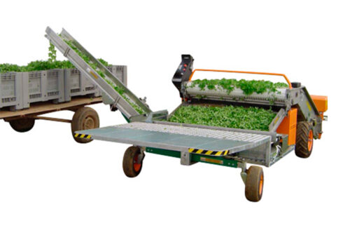 Modello NBNastro Trasportatore